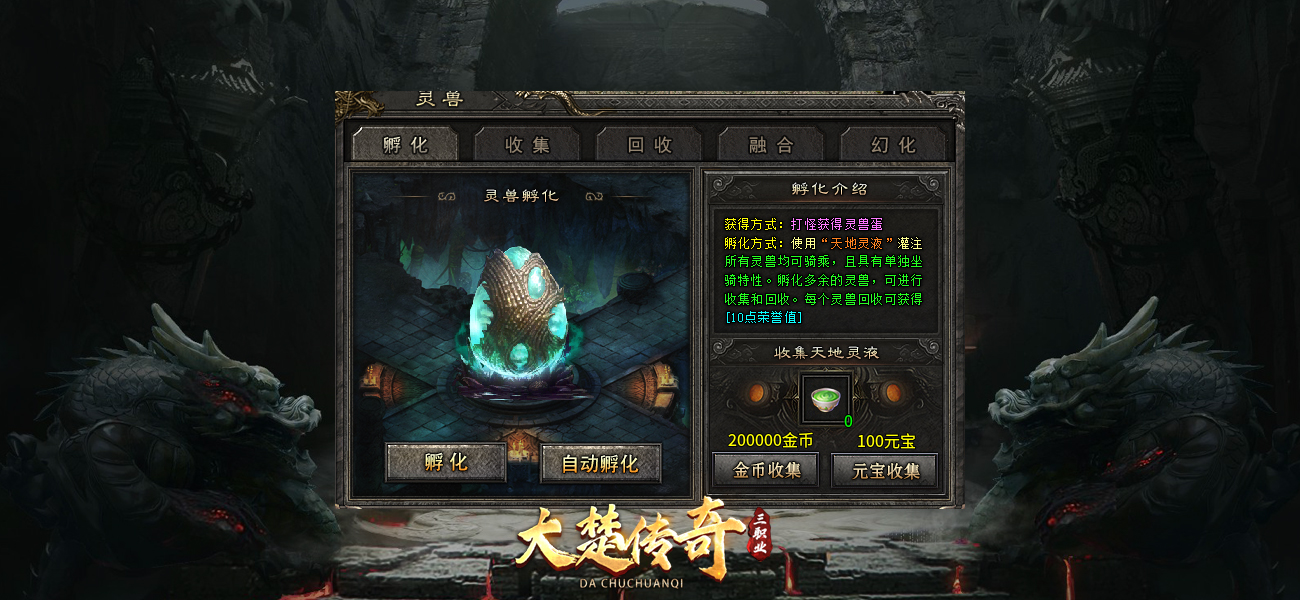 description 